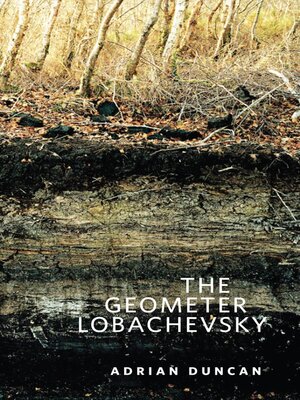 cover image of The Geometer Lobachevsky